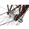 Popular Nexus 3 Speed EU Man City Bike (FP-CB-S01)